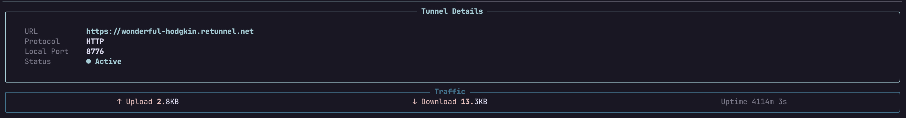 Retunnel dashboard showing a persistent tunnel.